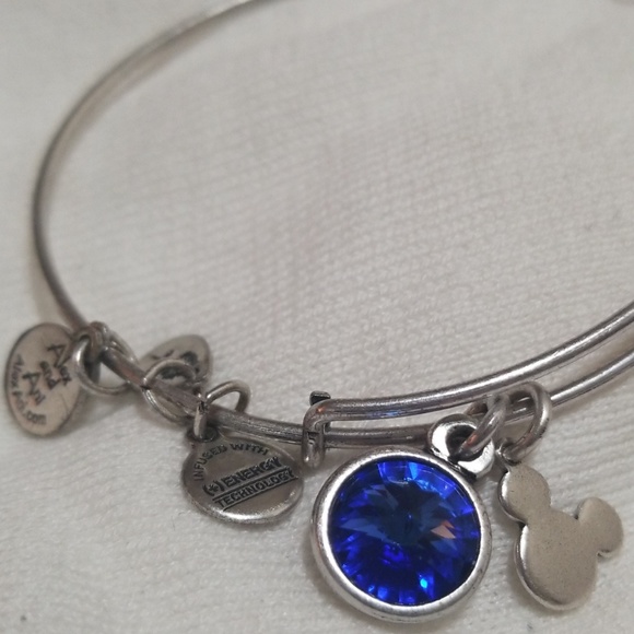 Alex and Ani Jewelry - 🔆Alex and Ani Disneyworld Birthstone bangle